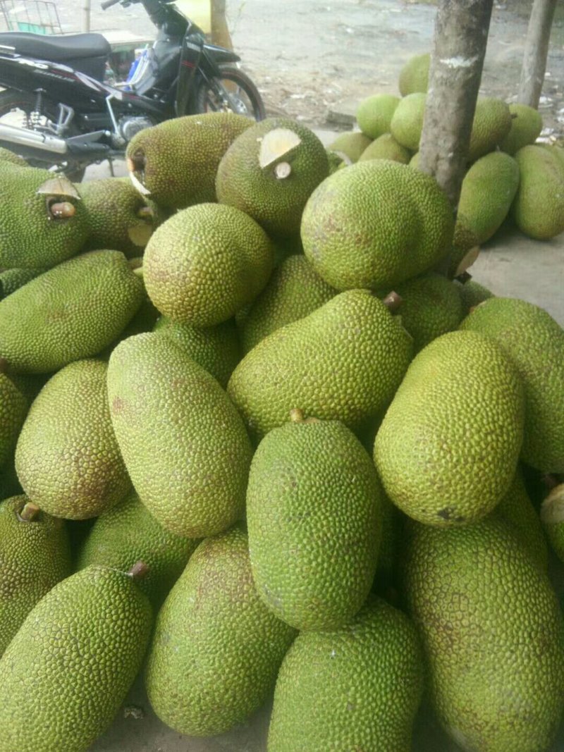 泰国菠萝蜜。