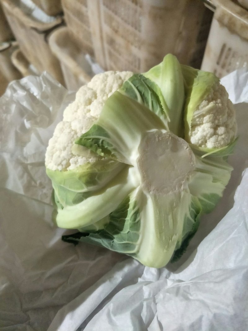白花