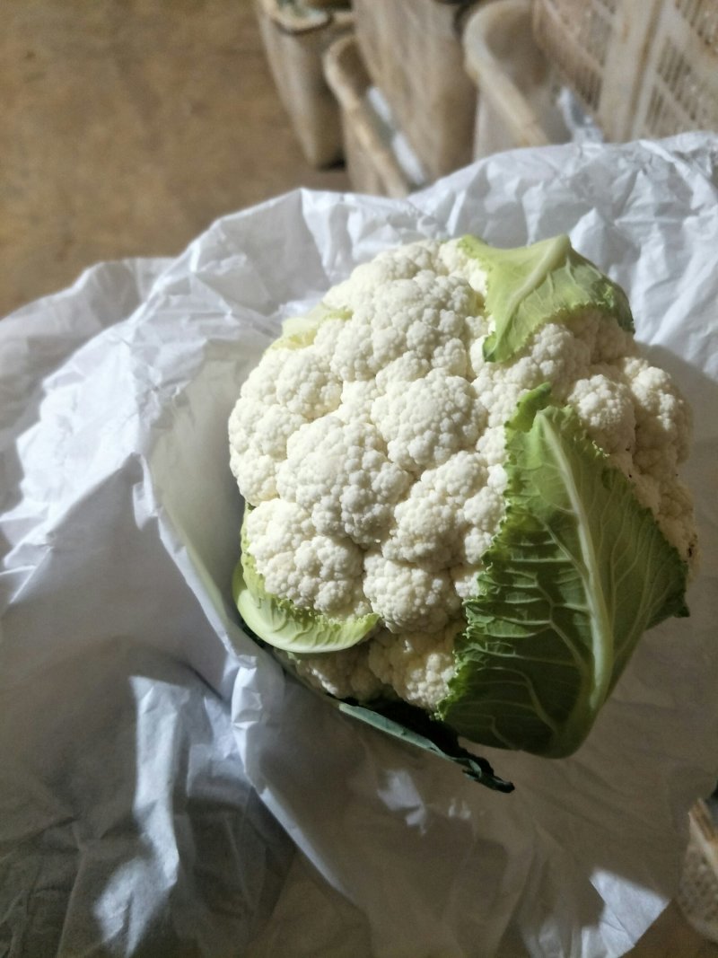 白花