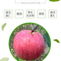 红富士苹果60/90