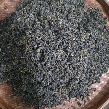 信宜大山茶