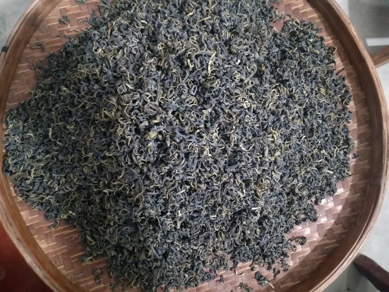 信宜大山茶