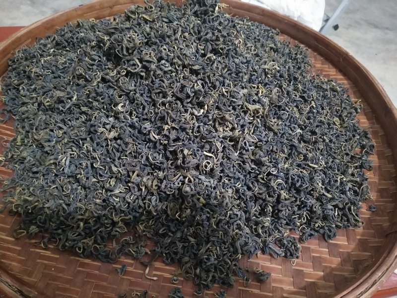 信宜大山茶