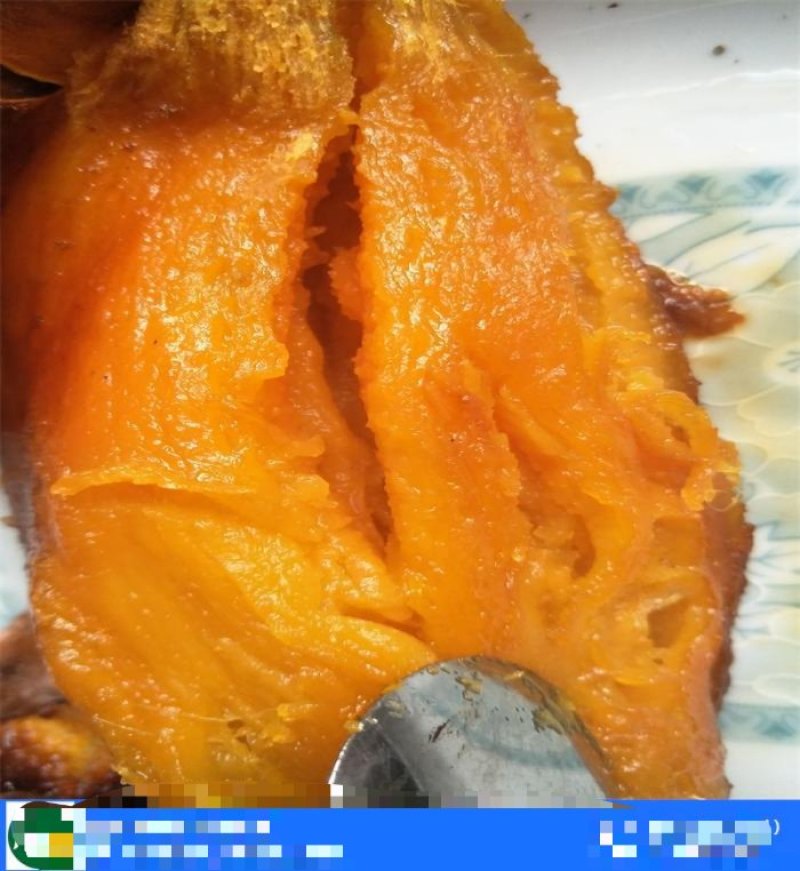 烟薯25