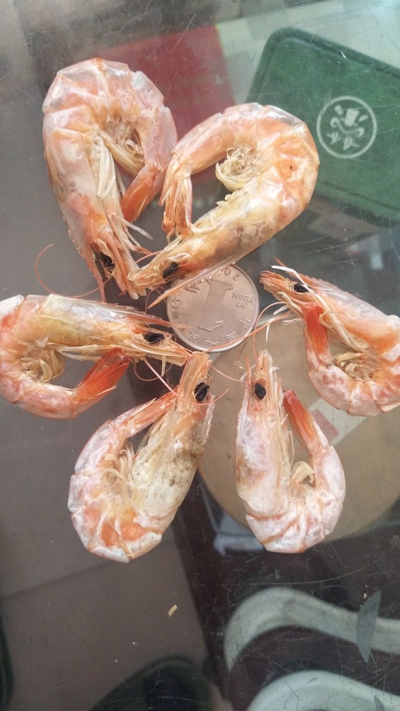 虾干烤虾
