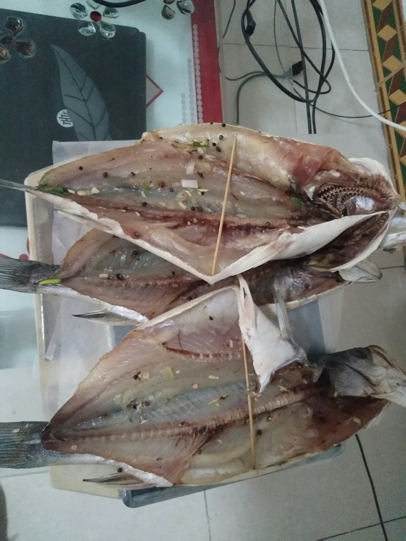 自制风干鲈鱼