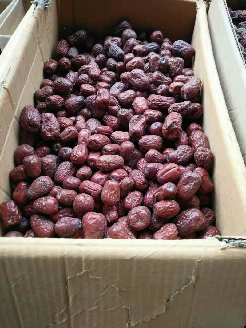 新疆麦盖提红枣