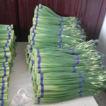 精品各种蔬菜，四季有货