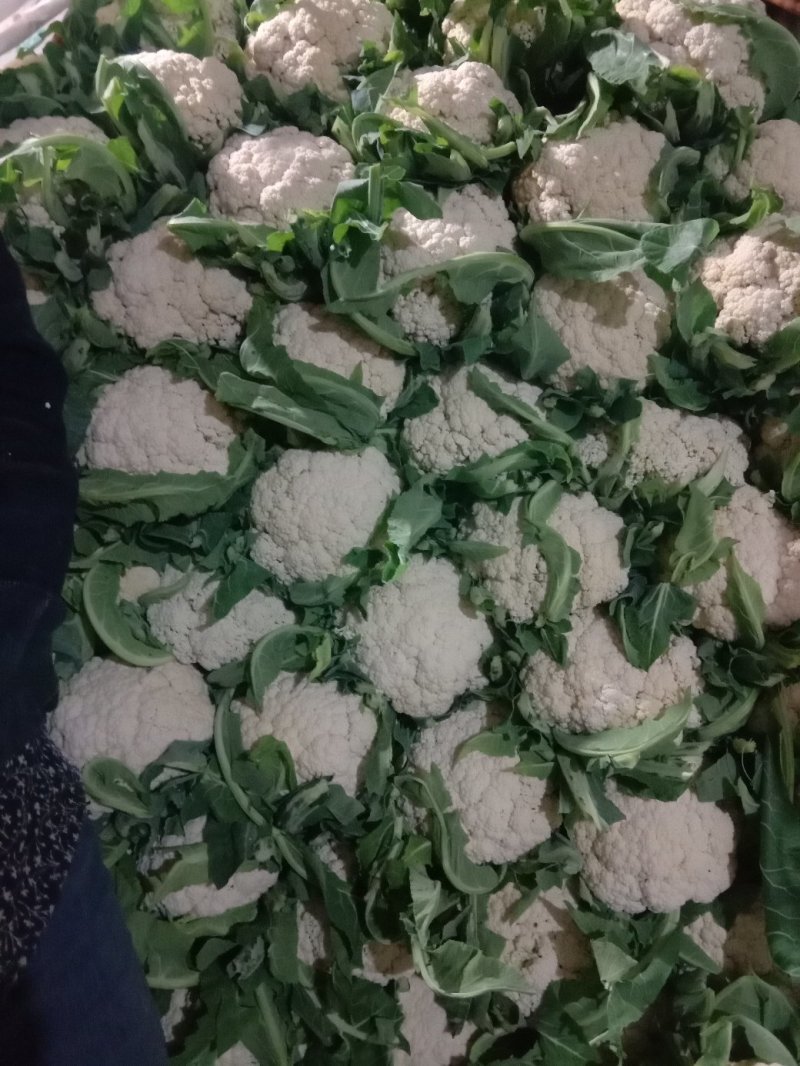 精品各种蔬菜，四季有货