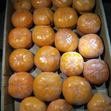 磨盘柿子