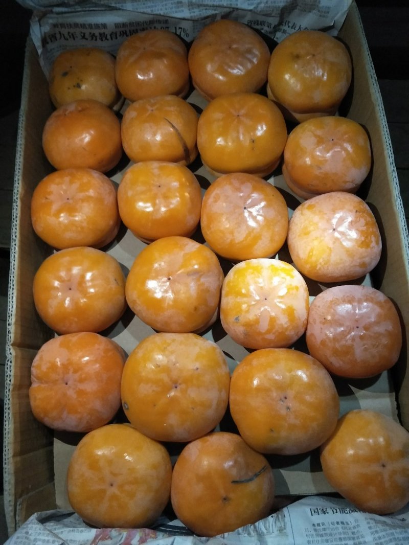 磨盘柿子