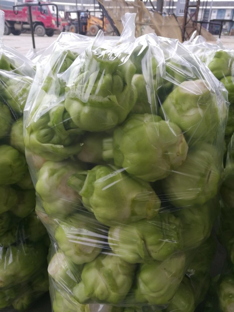 儿菜，榨菜，2022儿菜开始销售了，有需要的朋友联系我哈