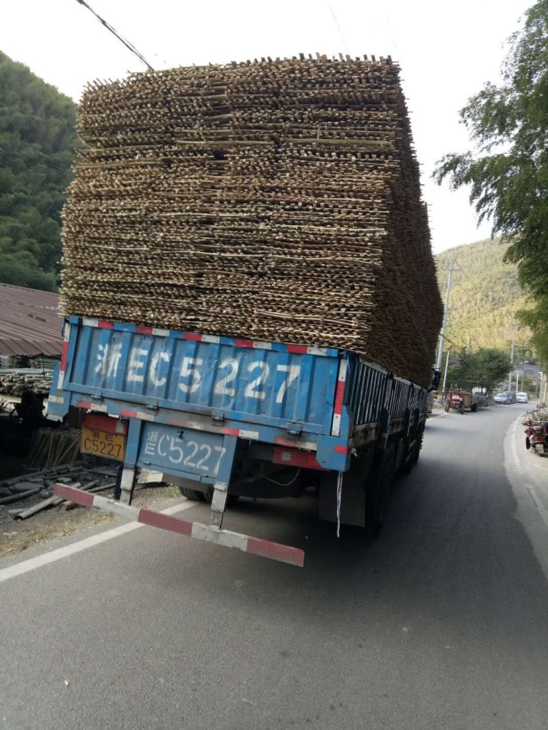 浙江毛竹竹片我们20几个人砍竹子量大稳定楠竹