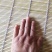 定制竹帘