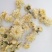 七月菊，中药材七月菊，菊花