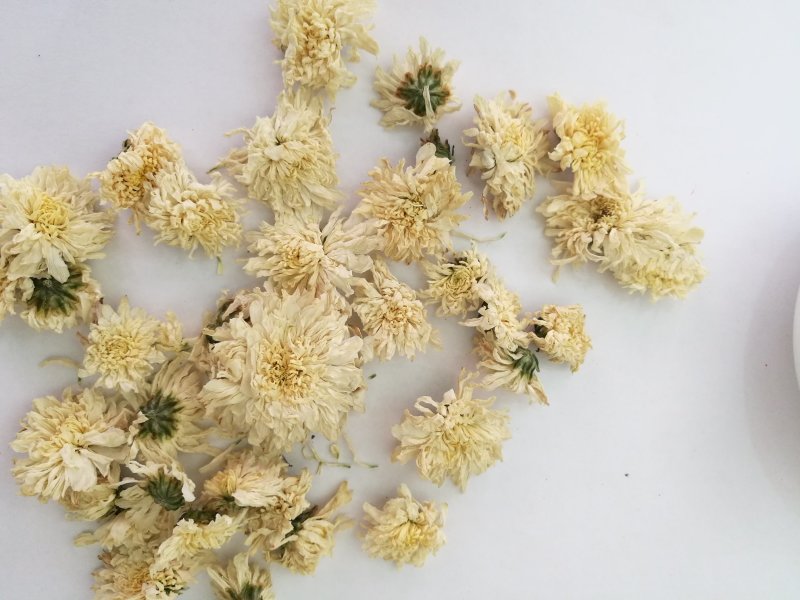 七月菊，中药材七月菊，菊花
