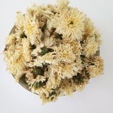 七月菊，中药材七月菊，菊花