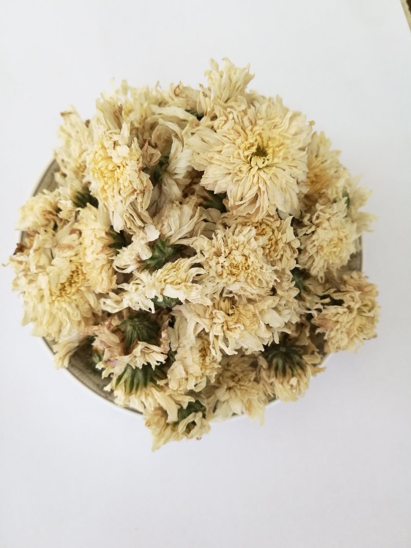 七月菊，中药材七月菊，菊花