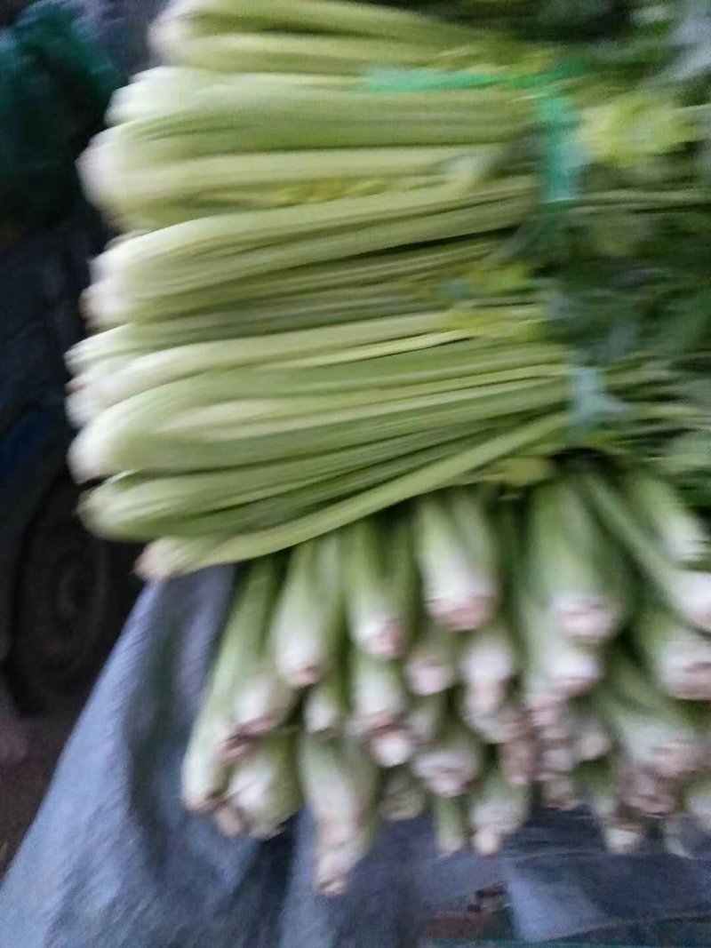 芹菜