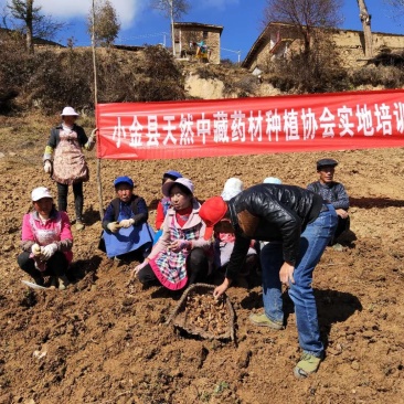 中药材种植合作社