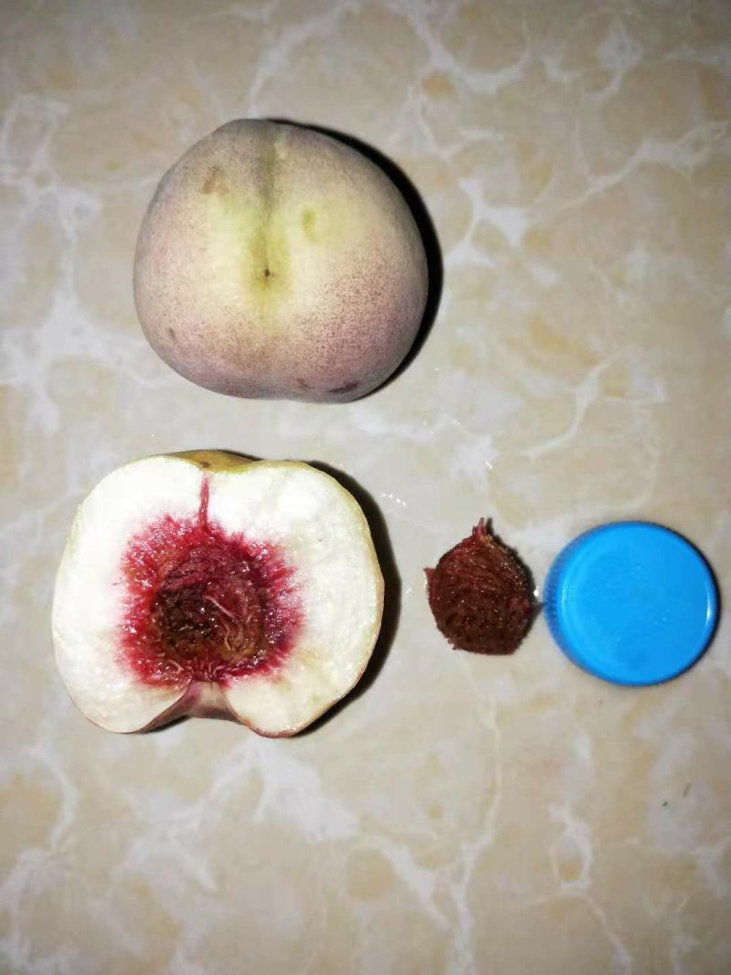 大理冬桃