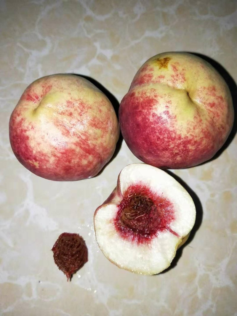 大理冬桃