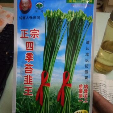 苔韭种子（四季苔韭王）