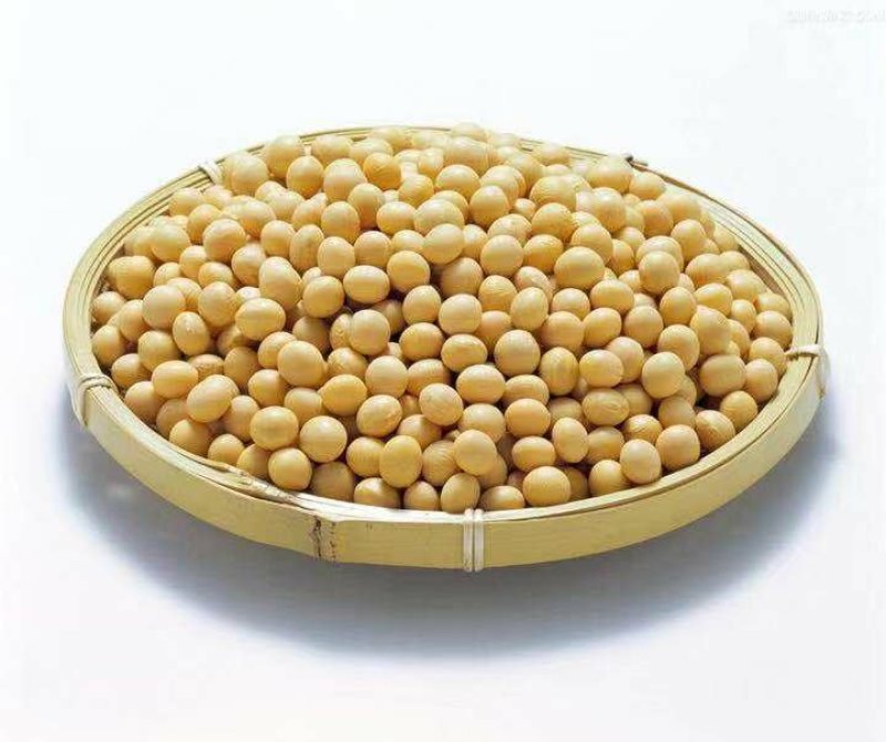农家黑豆粉黄豆粉