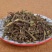 猫须草，肾茶不老草批发各种规格中药材