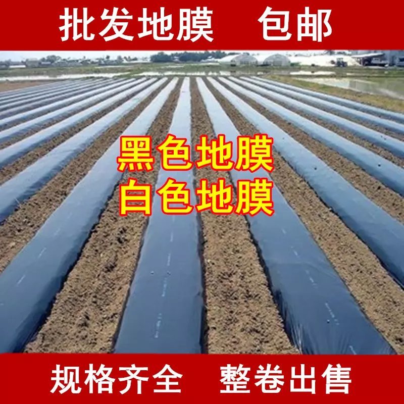 农用银黑双色地膜多功能耐用保温防虫除草膜保湿反光地膜塑料