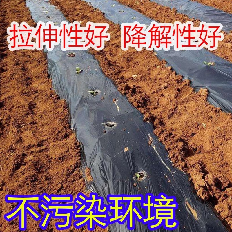 农用银黑双色地膜多功能耐用保温防虫除草膜保湿反光地膜塑料