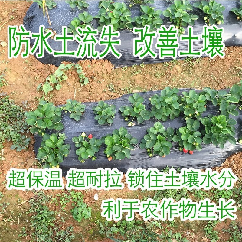 农用银黑双色地膜多功能耐用保温防虫除草膜保湿反光地膜塑料