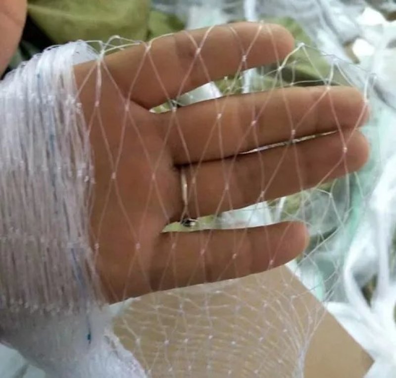 尼龙防鸟网白色透明果园果树葡萄樱桃稻谷泥鳅鱼塘防鸟用网天