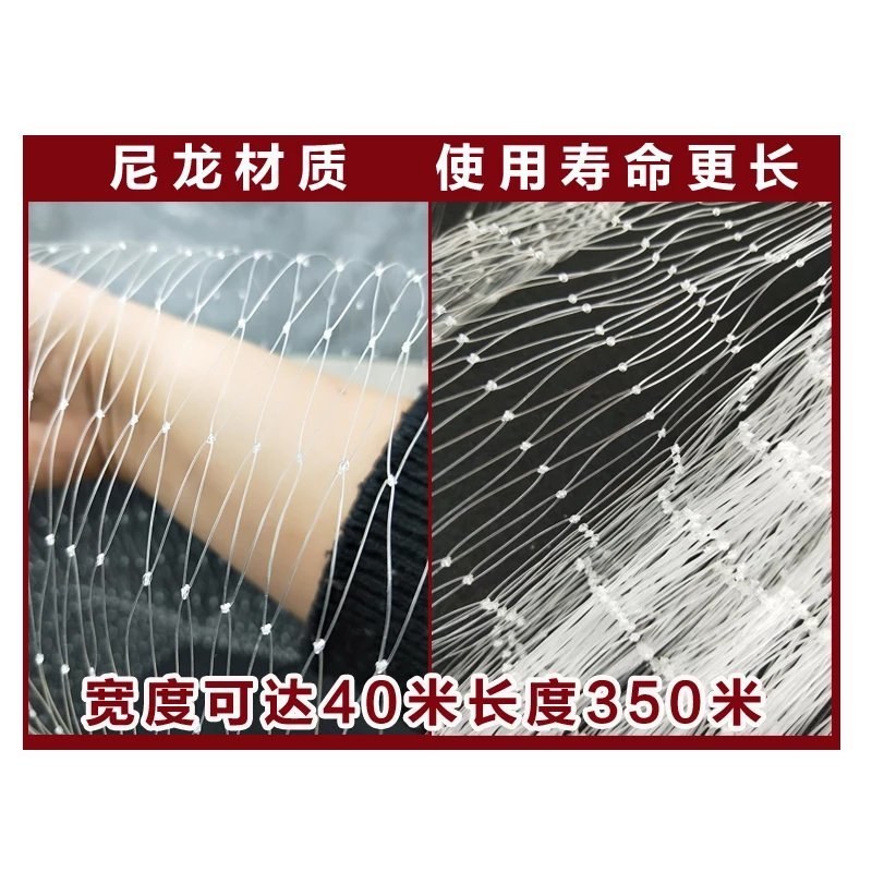 尼龙防鸟网白色透明果园果树葡萄樱桃稻谷泥鳅鱼塘防鸟用网天