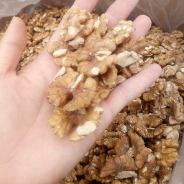 新疆核桃仁批发各种规格中药材