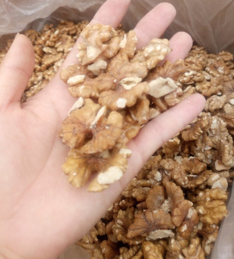 新疆核桃仁批发各种规格中药材