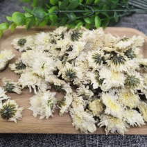 贡菊安徽批发各种规格中药材