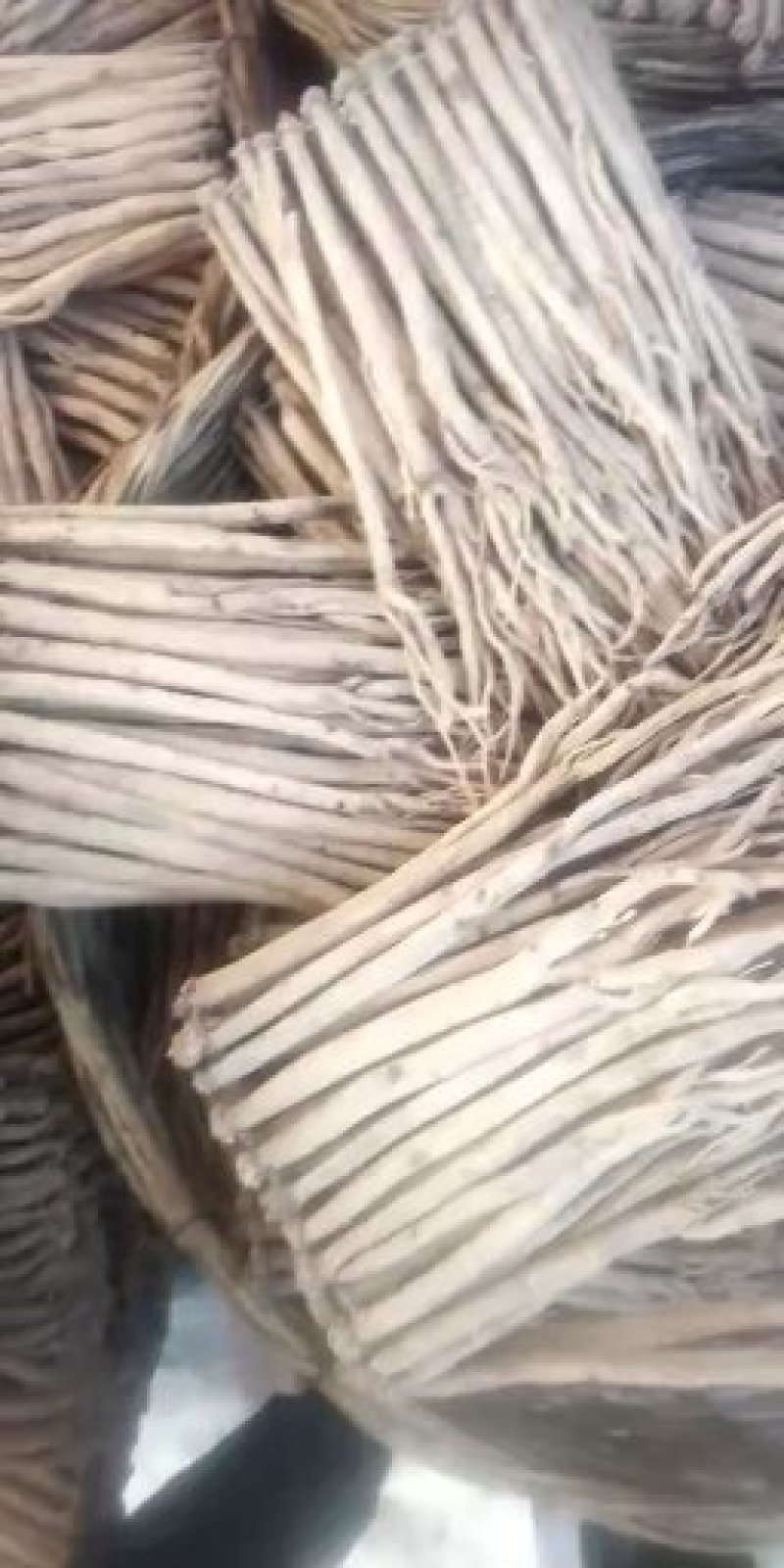 甘肃岷县:特大精品白条党参原条。