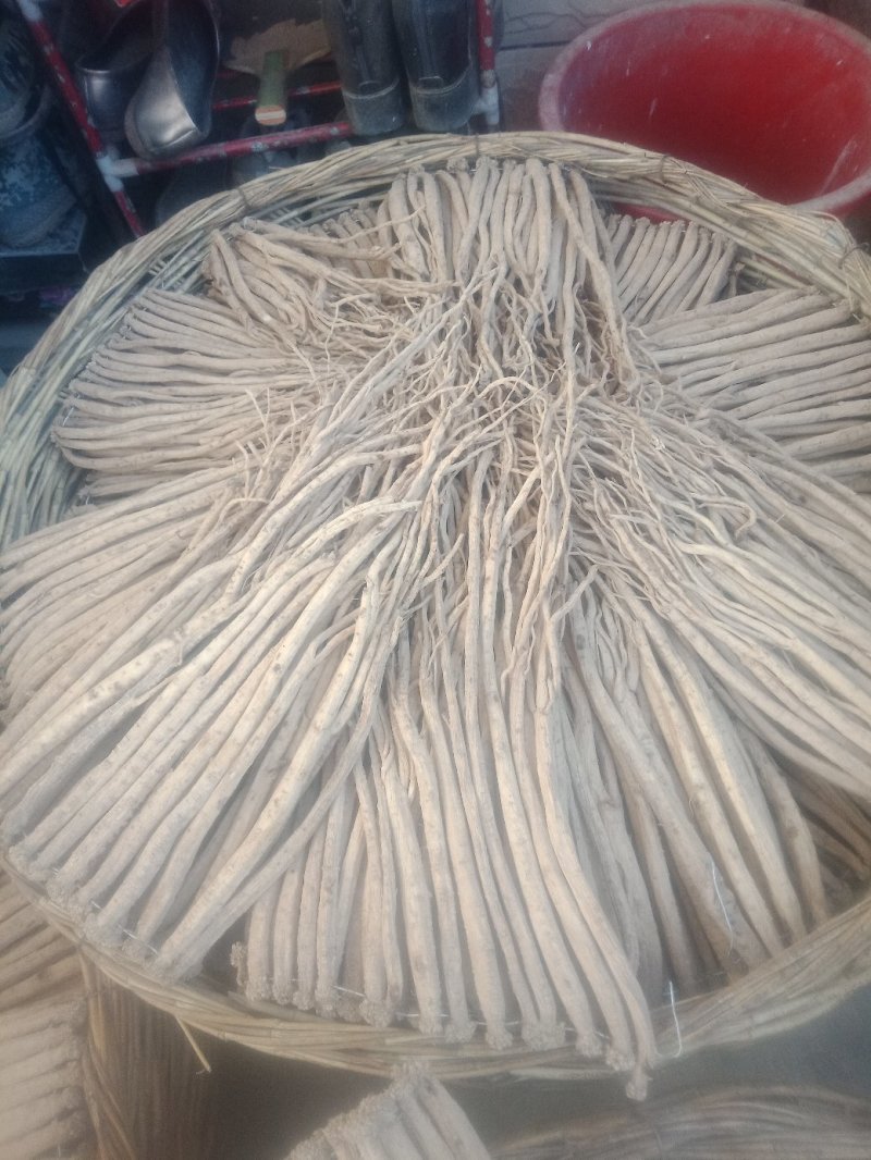 甘肃岷县:特大精品白条党参原条。