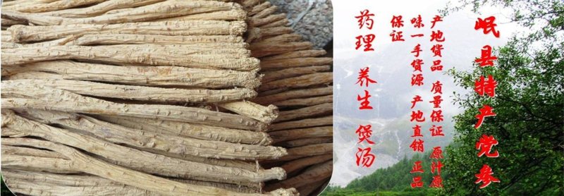 岷县白条党参，党参大中小条。