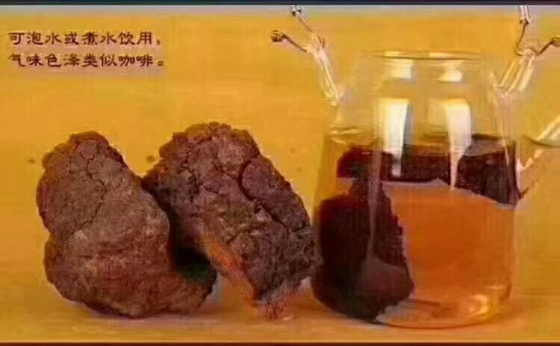 白桦茸糖尿病克星产地俄罗斯野生一公斤起包邮