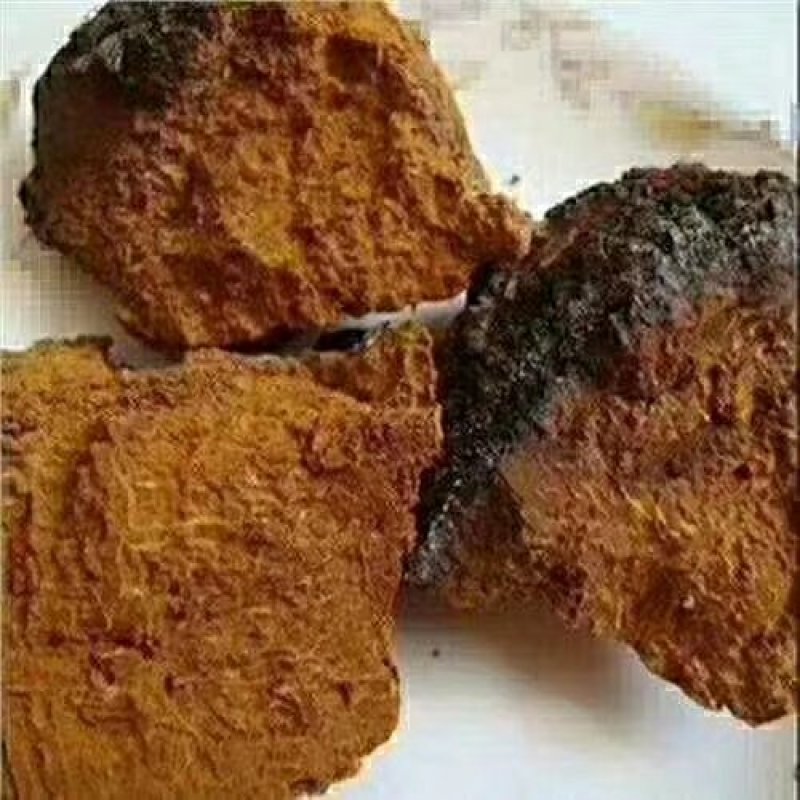 白桦茸糖尿病克星产地俄罗斯野生一公斤起包邮