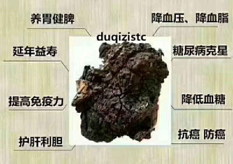 白桦茸糖尿病克星产地俄罗斯野生一公斤起包邮