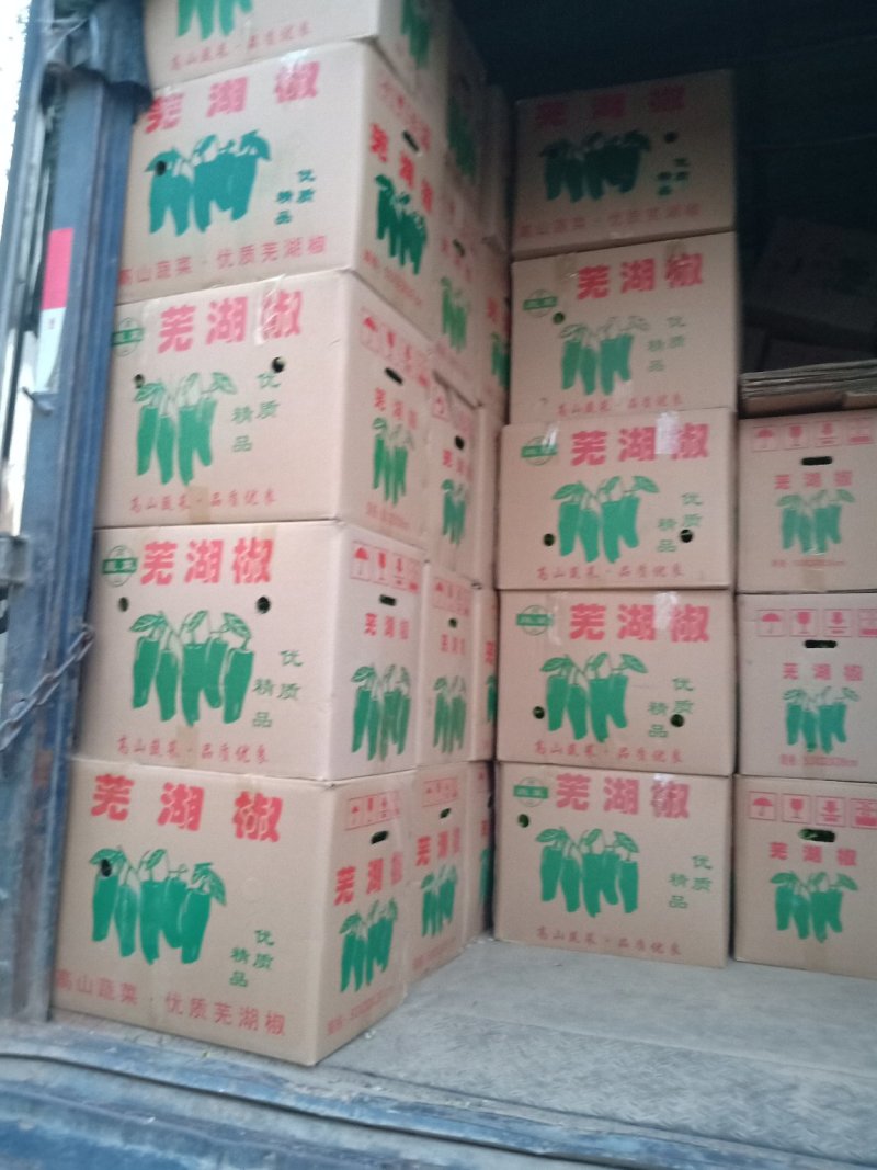 301泡椒，无湖苏椒，罗丝椒，线椒，二泡椒大量热卖中