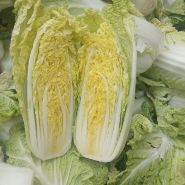 娃娃菜