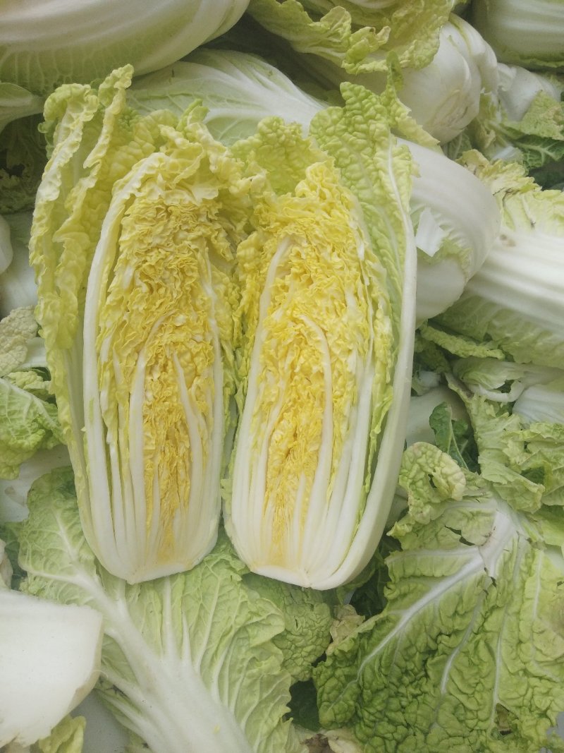 娃娃菜