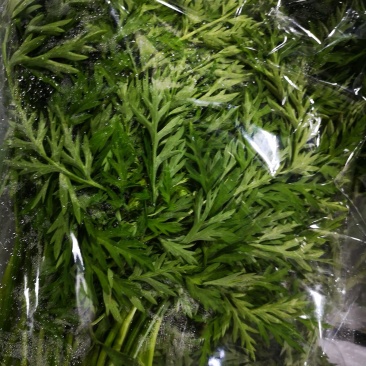 特菜一份35元，5个产品