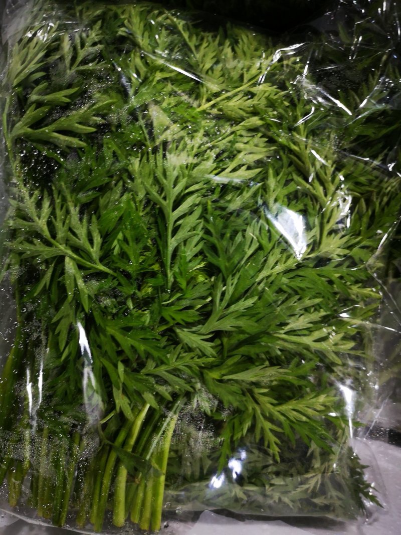 特菜一份35元，5个产品