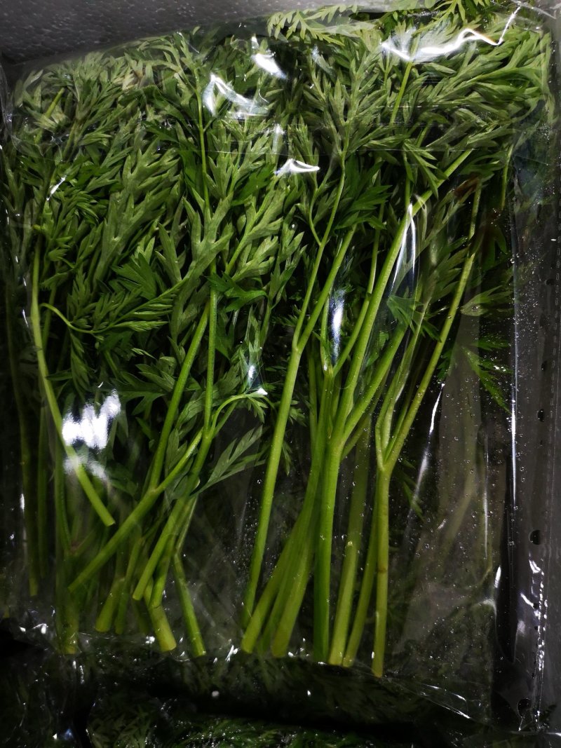 特菜一份35元，5个产品