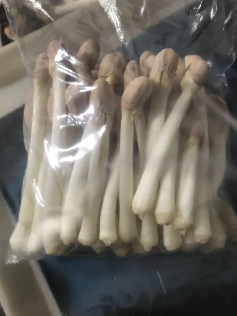 特菜一份35元，5个产品